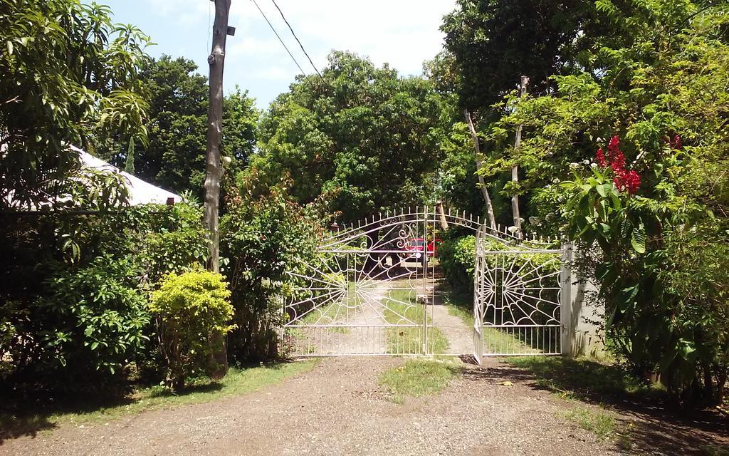 Shades Cottage Guesthouse Blue Hole Extérieur photo