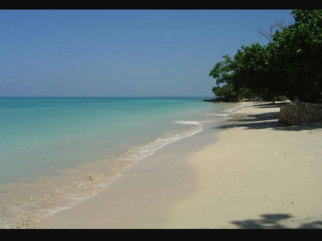 Shades Cottage Guesthouse Blue Hole Extérieur photo