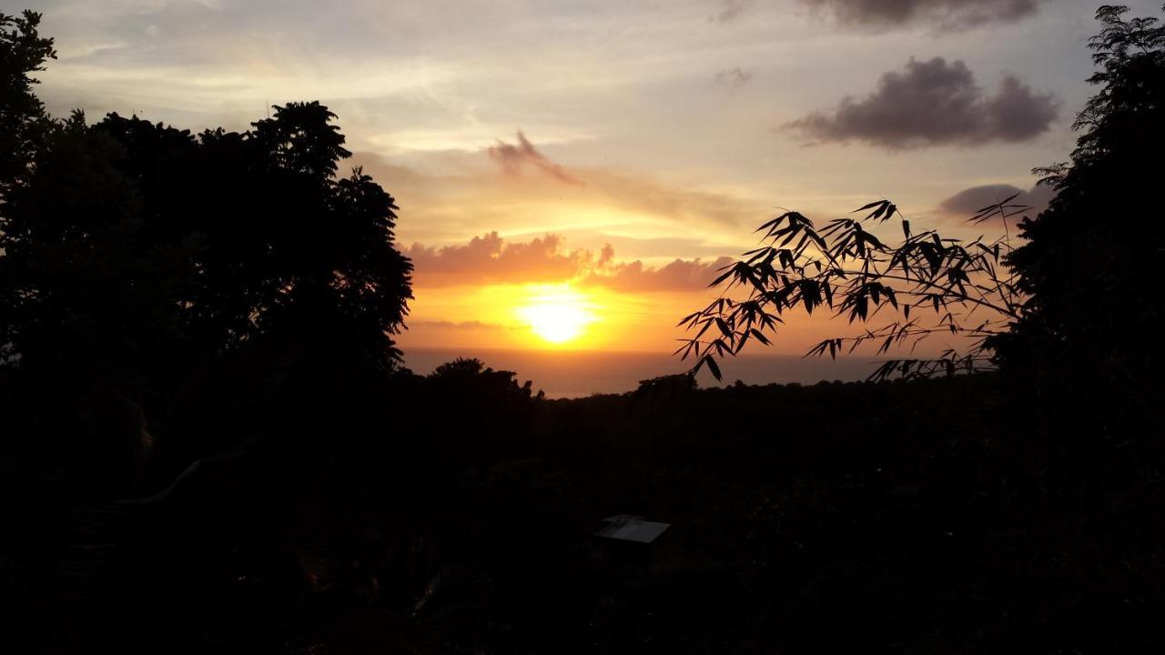 Shades Cottage Guesthouse Blue Hole Extérieur photo